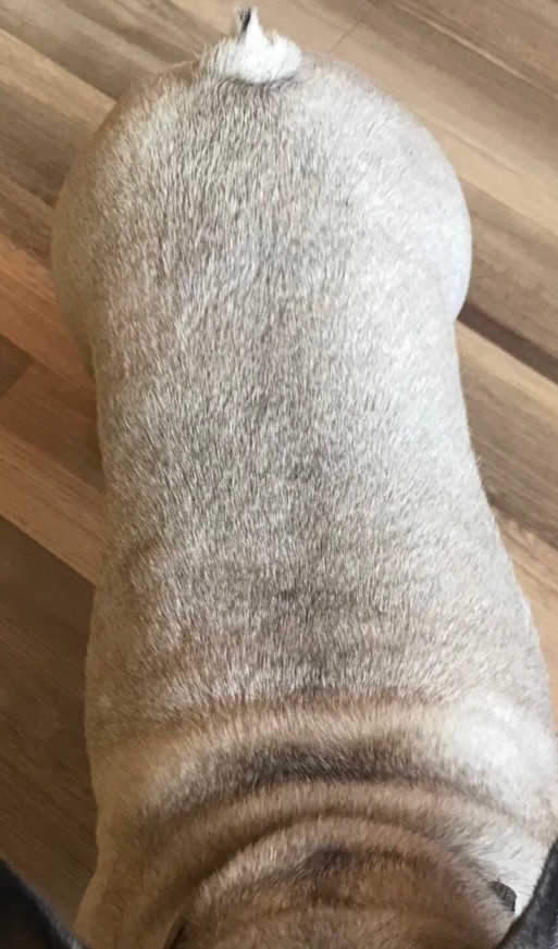 Po